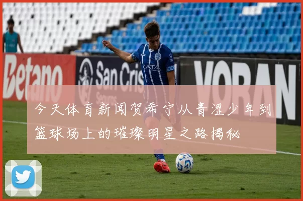今天体育新闻贺希宁从青涩少年到篮球场上的璀璨明星之路揭秘